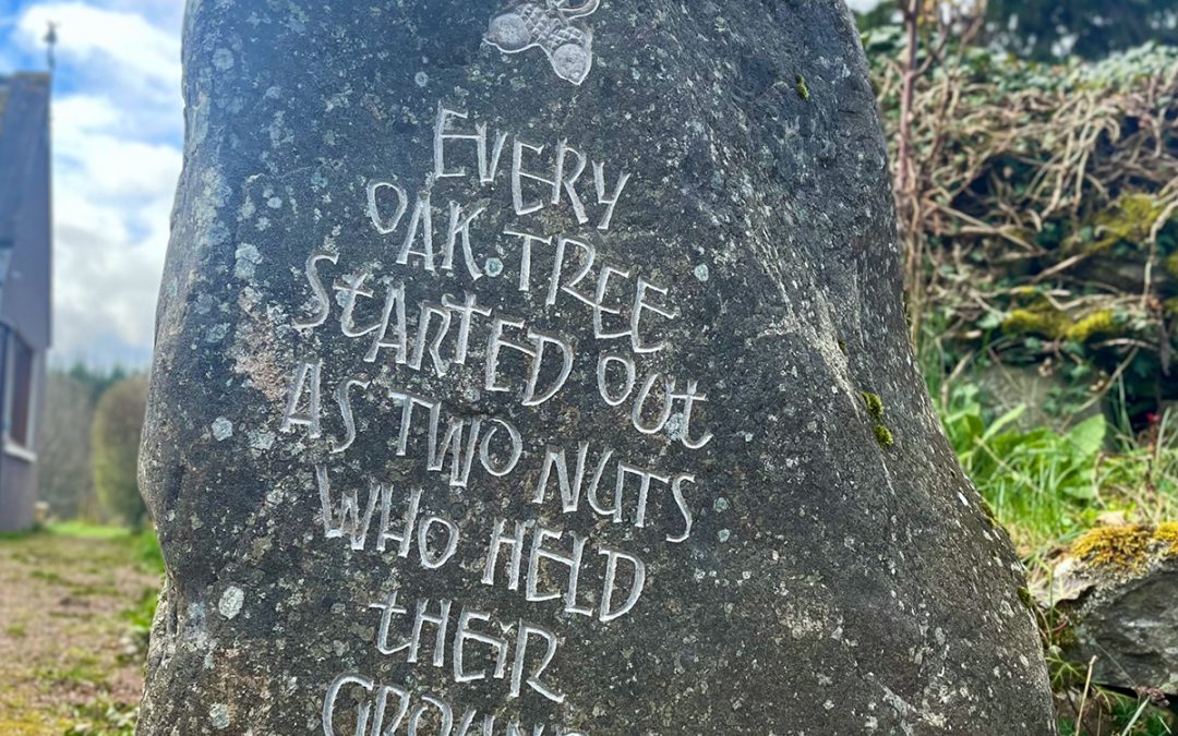 Wild meadow monolith