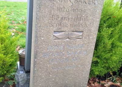 New inscription