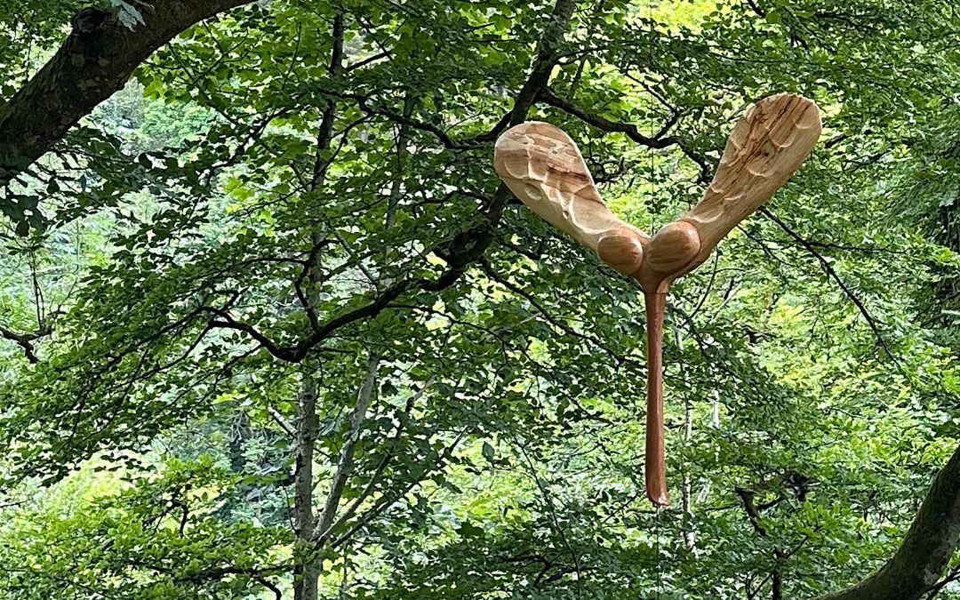“On ya’ way” to Kelburn Garden Party
