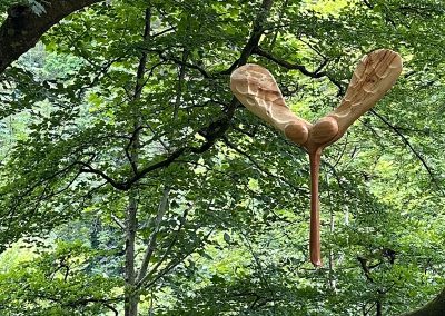 “On ya’ way” sycamore seed