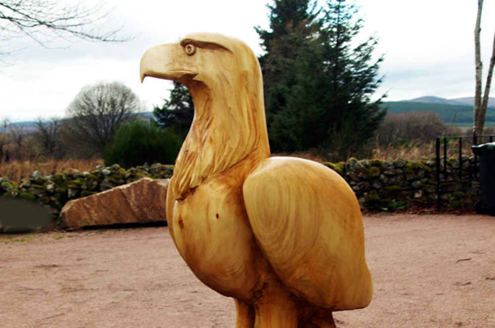 “Old Abe” American bald eagle